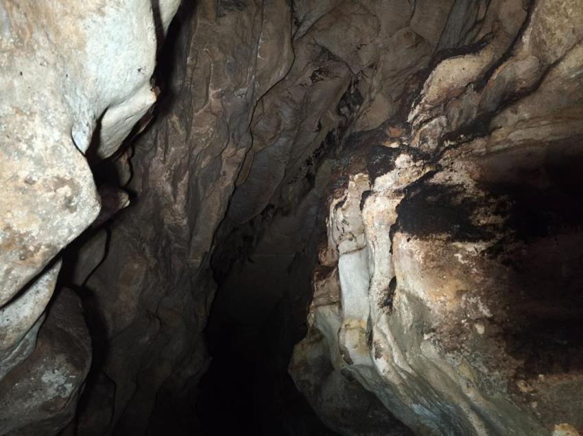 Ordu'da gizemli mağara keşfedildi! İçine girenler büyüleniyor, yeni dönem başlatacak