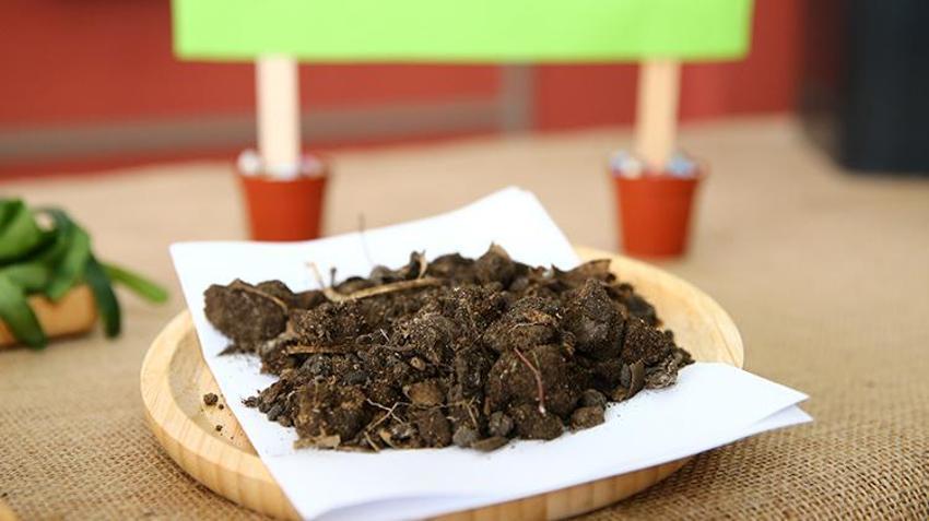 İlkokul öğrencilerinden çığır açacak proje! Tek kavanoz yetti, artık hiçbirine gerek kalmadı