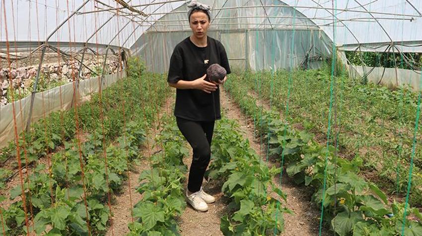 2 kuzen 5 yıl önce köyde kurdu! Kendileri için yaptılar, köylüler duyunca talep patladı