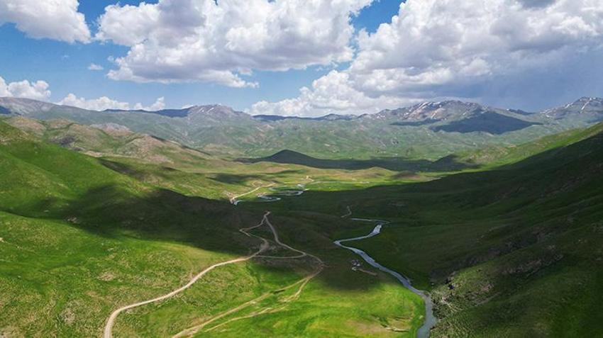 Doğaseverlerin gözdesi oldu! Şırnak, Hakkari, Van üçgeninde bir doğa harikası: Faraşin Yaylası keşfedilmeyi bekliyor!