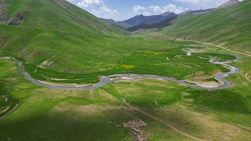 Doğaseverlerin gözdesi oldu! Şırnak, Hakkari, Van üçgeninde bir doğa harikası: Faraşin Yaylası keşfedilmeyi bekliyor!