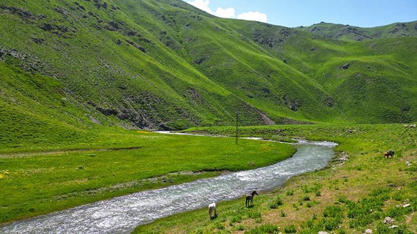 Doğaseverlerin gözdesi oldu! Şırnak, Hakkari, Van üçgeninde bir doğa harikası: Faraşin Yaylası keşfedilmeyi bekliyor!