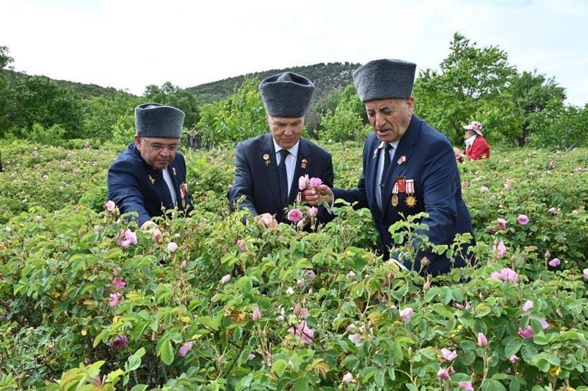 Hasat başladı, Isparta Gül Festivali'nde coşku doruklara taşındı