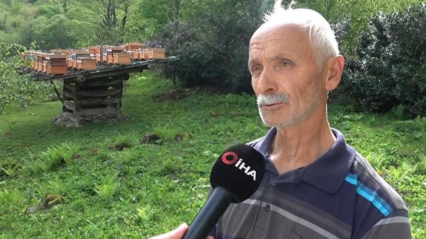 Bu bal bildiğiniz ballardan değil! 4 yılda bir hasat ediliyor; Azı karar, çoğu zarar