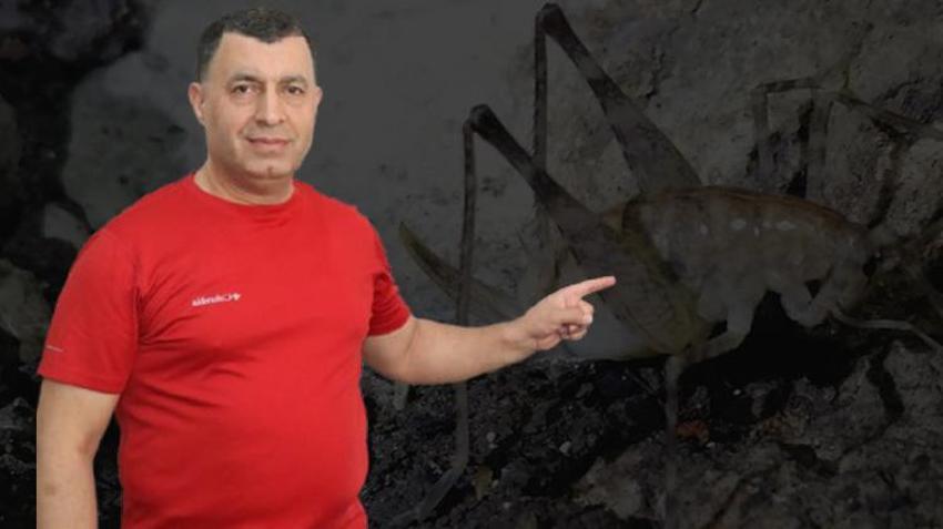 Diyarbakır'da mağarada keşfedildi: Yeni bir tür! Almanlar büyük ilgi gösterdi