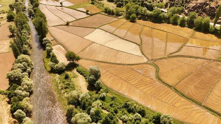 Bitlis'te yüzyıllardır devam ediyor! Bütün köy toplanıp yapıyor, 100 lira fiyatı var