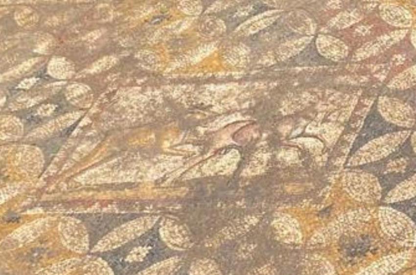 Dünyada ilk kez görüldü, Bursa'da evin odasında keşfedildi! Sırrı bilinmiyor, Papa ziyarete gelecek