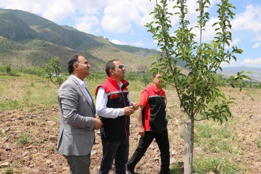 Erzincan'da kurduğu meyve bahçesinde teknolojiden faydalanıyor