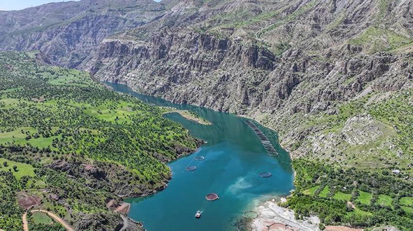 Atatürk Barajı bölgede ekmek kapısı olmaya devam ediyor! Diyarbakır'ın ilçesi buradan geçimini sağlıyor