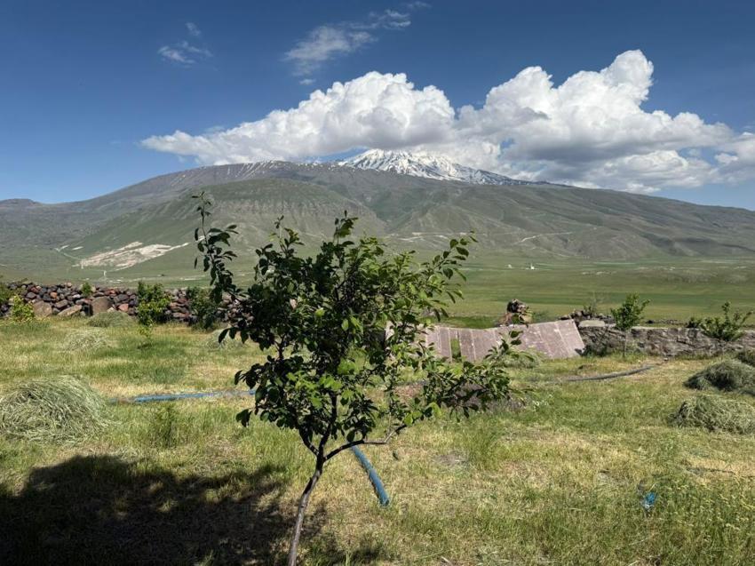 Iğdır'da beklemediği başına geldi! Çorak arazi yeşillendi
