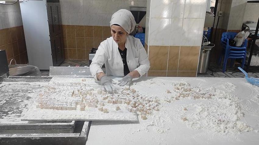 Batmanlılar artık çilekten daha çok para kazanacak! Sason'un çileği bölgeye istihdam kapısı oldu