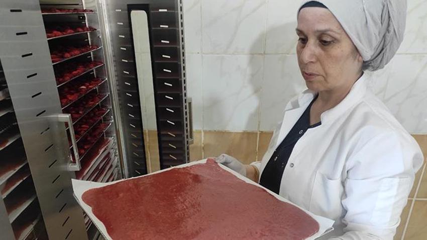 Batmanlılar artık çilekten daha çok para kazanacak! Sason'un çileği bölgeye istihdam kapısı oldu