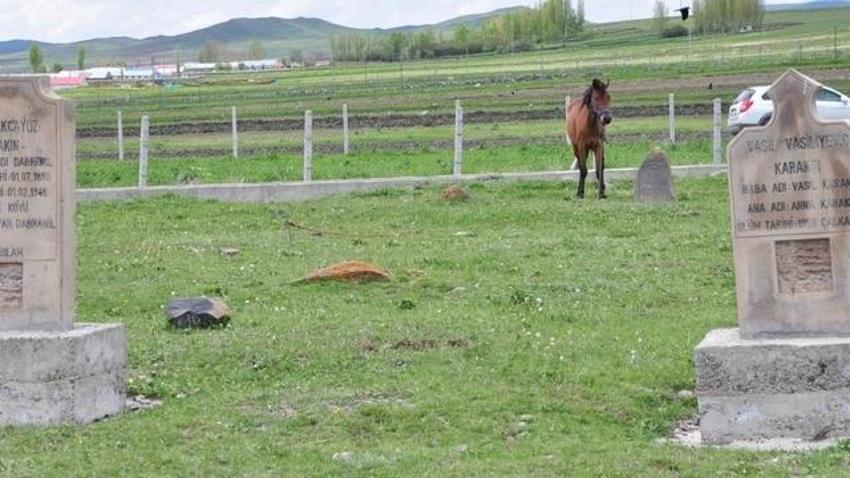 Atalarıyla bağlantı kurmak için ABD'den Kars'a geldiler!