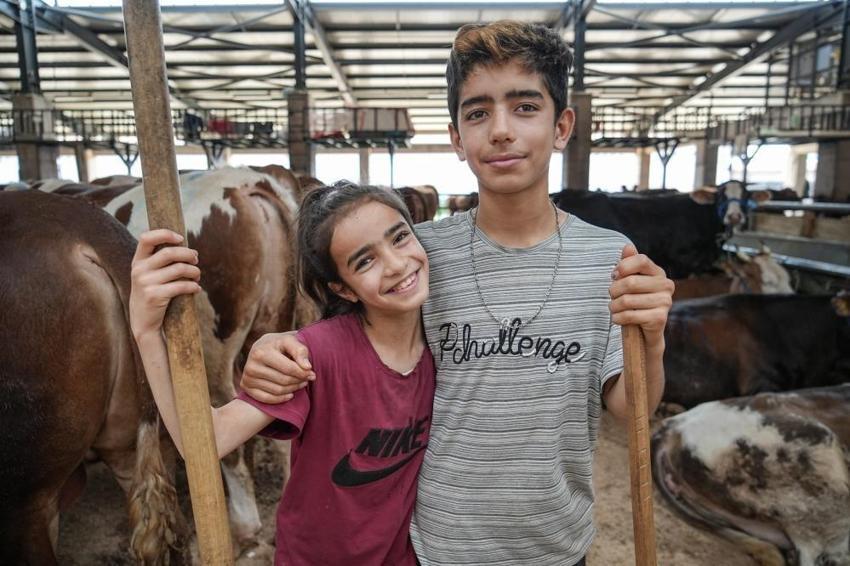 Bursa'da kurban diye 8 yaşındaki Ecrin'i seçtiler! Hayvan pazarının en küçük satıcısı
