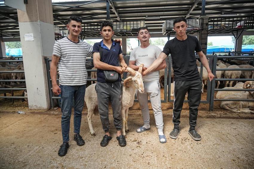 Bursa'da kurban pazarına giren ona bakıyor! Bu özelliği hiçbir hayvanda yok
