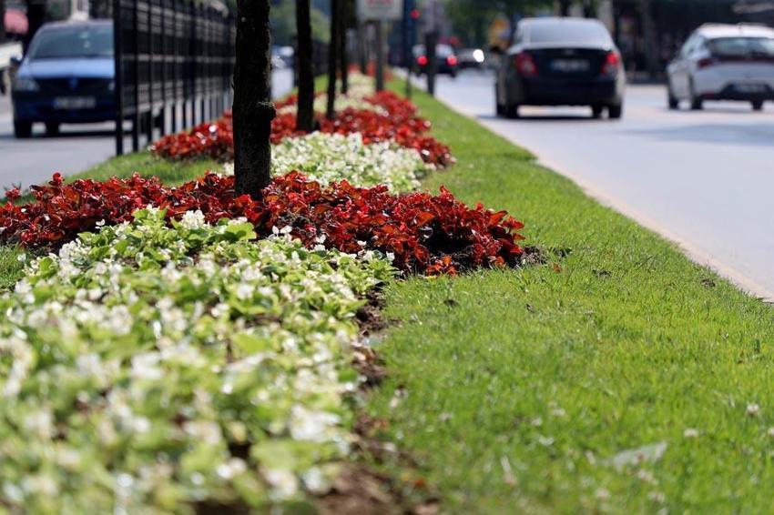 Sakarya Kurban Bayramı'na hazır! Şehirin dört bir yanı çiçeklerle donatıldı
