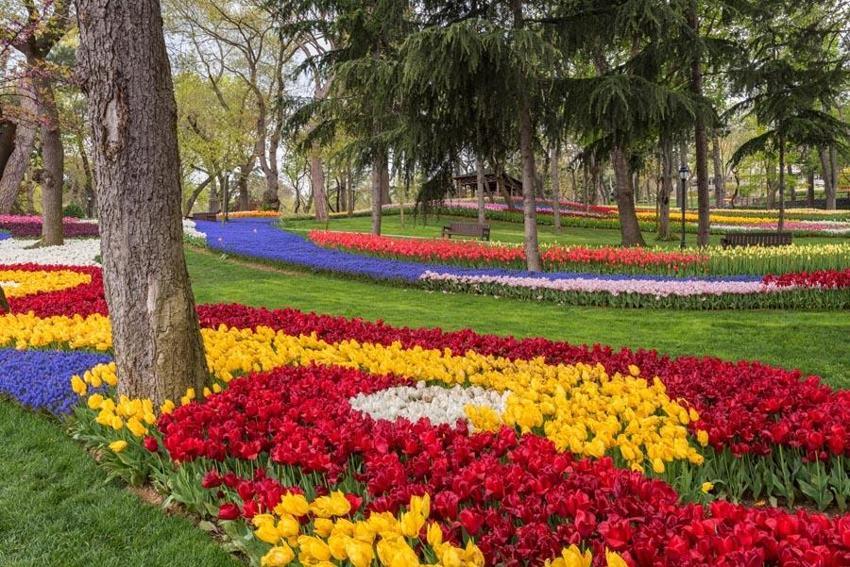 Kurban Bayramı'nda İstanbul’da gezilecek en güzel yerler! Tatilde doğayla iç içe olabileceğiniz rotalar, hem ekonomik hem yakın...