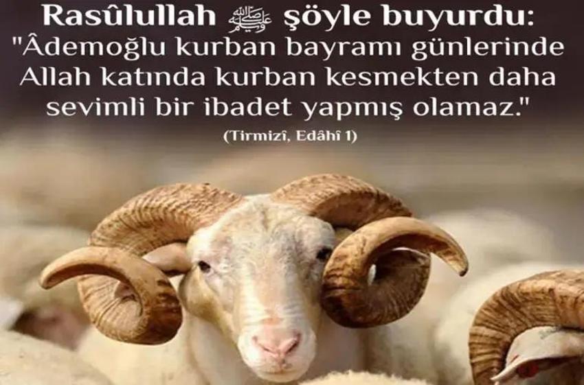 Kurban bayramına özel mesajlar 2025: Resimli anlamlı yeni ayetli bayram mesajları