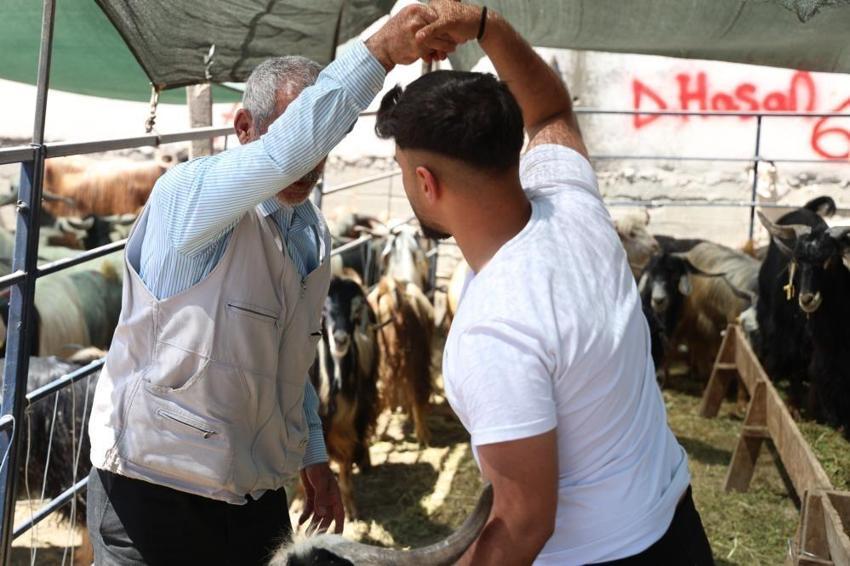 Elazığ'da kol kıran kurban pazarlığı: Hayvan pazarında ilginç görüntü