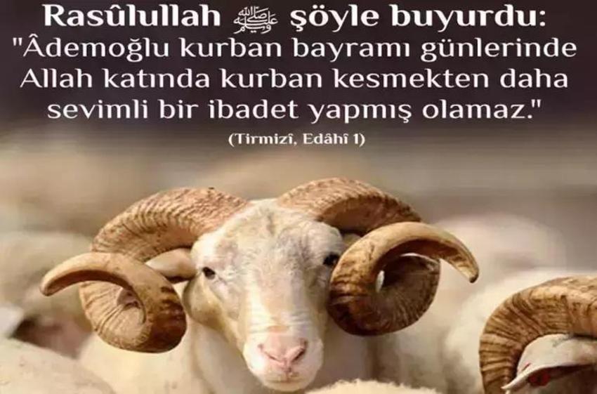 Kurban mesajları 2025: Resimli anlamlı özel Kurban Bayramı mesajları 6 Haziran