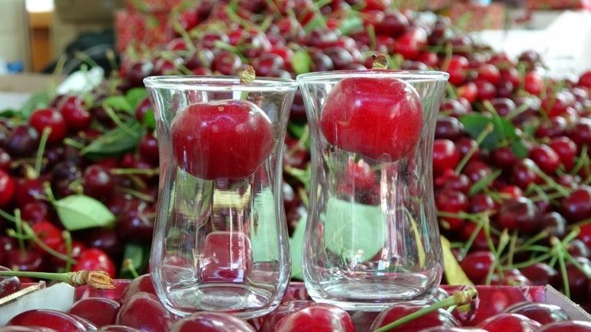 Kiraz çay bardağına sığmıyor! Hasat başladı: Çanakkale'de yüzler güldü: Kilosu 700 lira