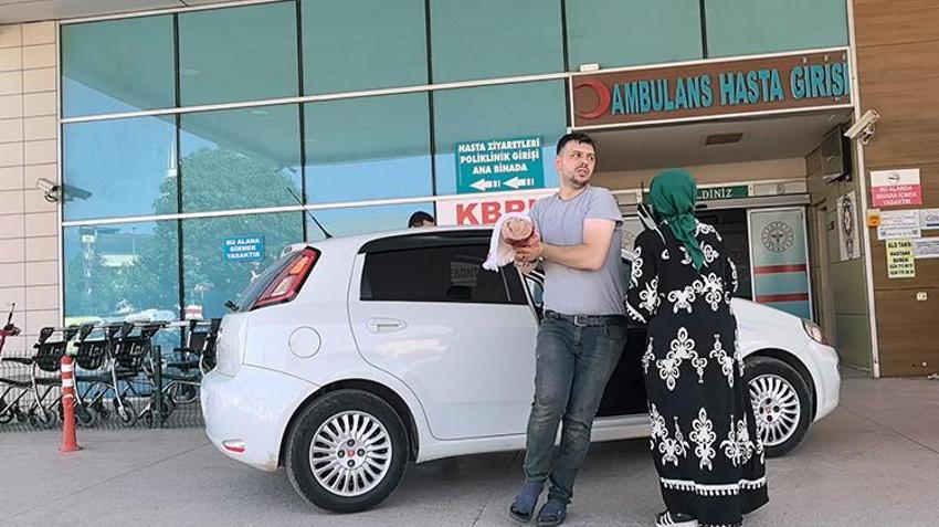 Yurttan acemi kasap manzaraları! İlk görüntüler Samsun'dan geldi