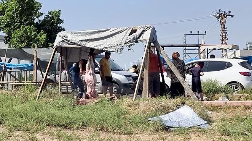 Adana'da bayrama yakışmayan görüntüler! Kaldırımlarda ve boş arazilerde kurban kestiler