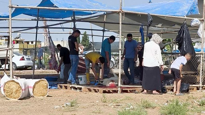 Adana'da bayrama yakışmayan görüntüler! Kaldırımlarda ve boş arazilerde kurban kestiler