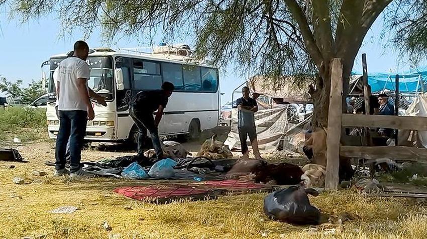 Adana'da bayrama yakışmayan görüntüler! Kaldırımlarda ve boş arazilerde kurban kestiler