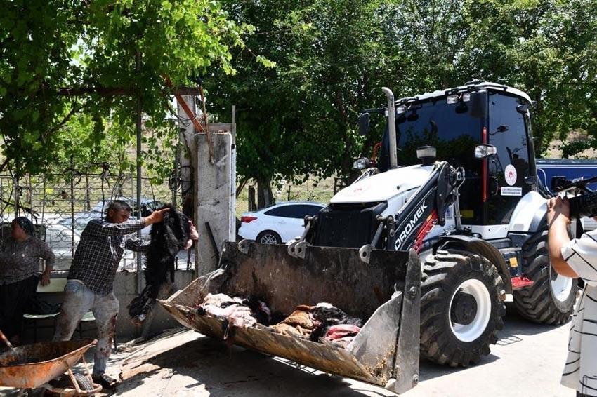 Osmaniye'de sokakların gizli kahramanları Kurban Bayramı’nda sahada