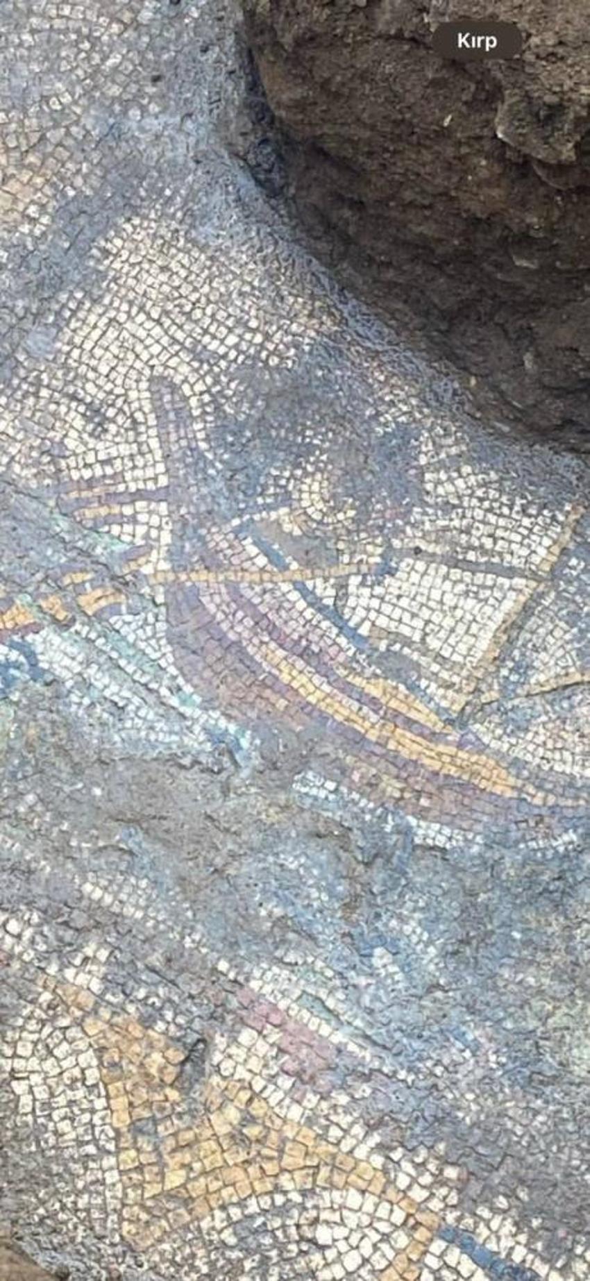 Dünyada ilk kez Bursa'da görüldü! Evin odasında ortaya çıktı, sırrı bilinmiyor, Papa ziyarete gelecek