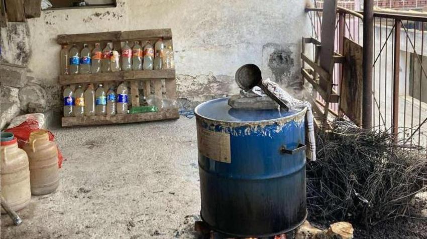 Dağlarda kendiliğinden yetişiyor! Yıllarca toplanmadı, hasat başladı, tek damlası yetiyor