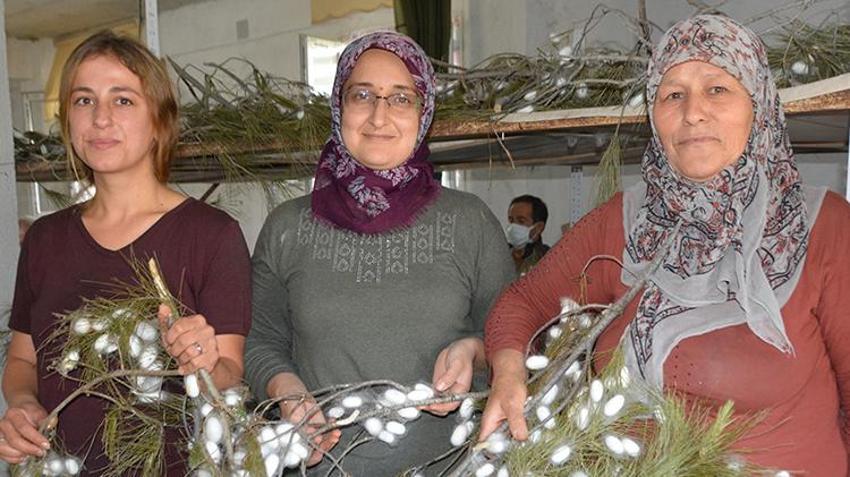 Anne ve kızı internetten öğrenip yapmaya başladı! Hasat başladı, kilolarca üretiyor, 2 bin liradan satışa çıktı