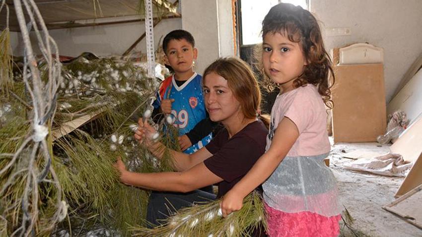 Anne ve kızı internetten öğrenip yapmaya başladı! Hasat başladı, kilolarca üretiyor, 2 bin liradan satışa çıktı