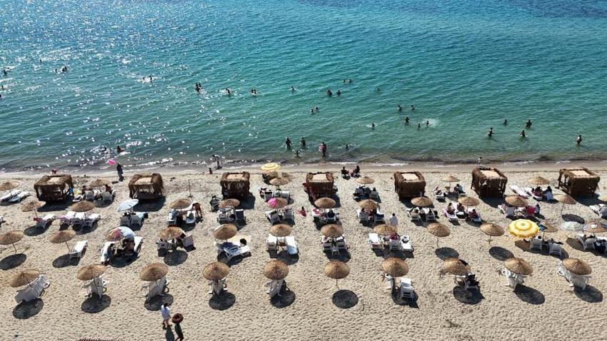 Saros'ta tatilciler ilk kez karşılaştı! Plajda kimsenin peşini bırakmıyor
