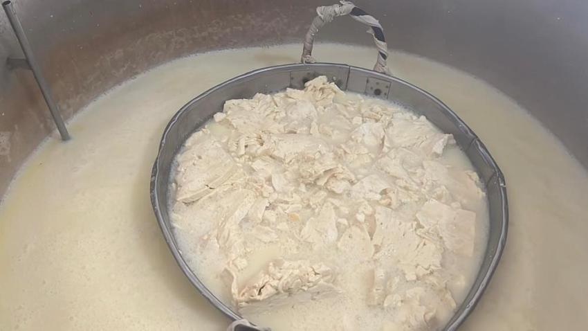 Kars'ta tonlarcası eski kaşar için işleniyor!