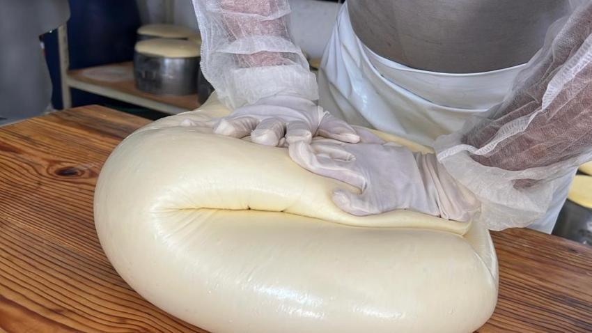 Kars'ta tonlarcası eski kaşar için işleniyor!