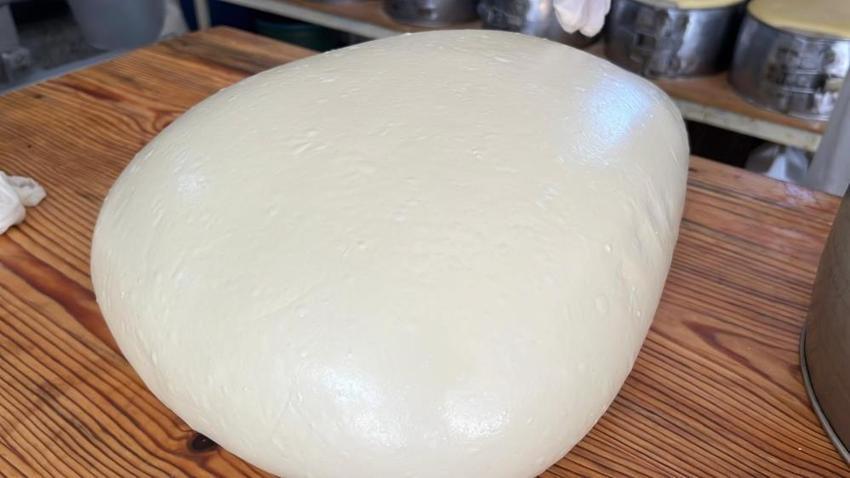 Kars'ta tonlarcası eski kaşar için işleniyor!