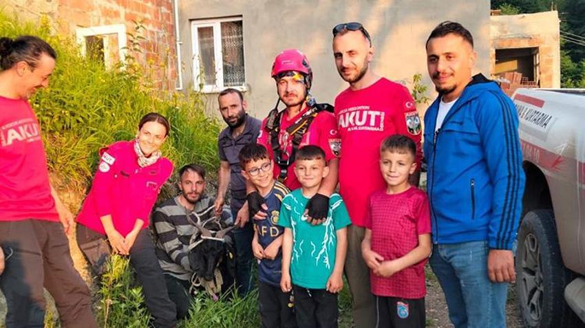 Trabzon'da inatçı keçi ne yapıp etti kurban olmaktan kurtuldu!