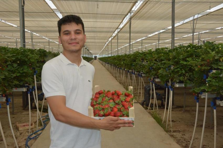 20 yaşında 100 milyon TL yatırım yaptı! Teknolojiyi tarımla buluşturdu: 28 dönümde yetiştirip satıyor