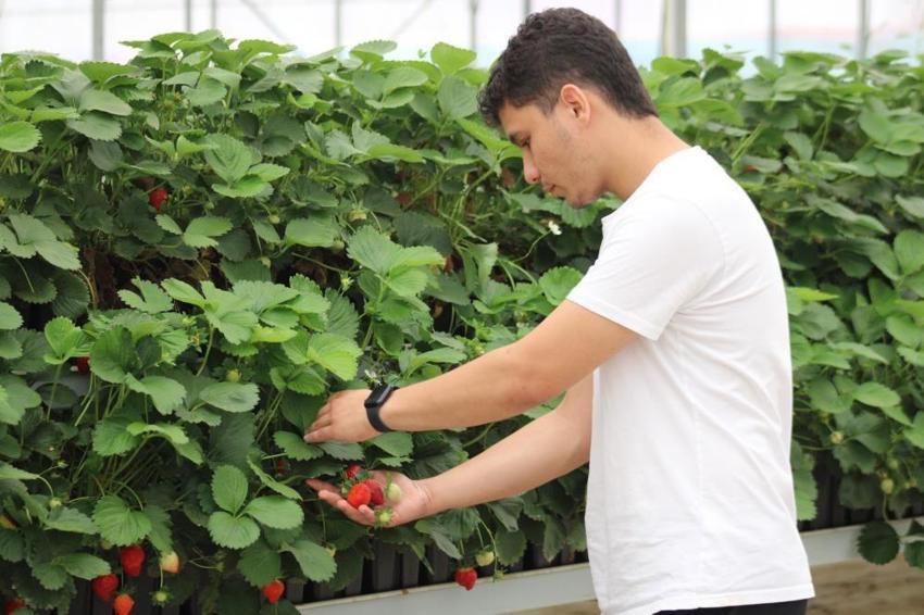 20 yaşında 100 milyon TL yatırım yaptı! Teknolojiyi tarımla buluşturdu: 28 dönümde yetiştirip satıyor