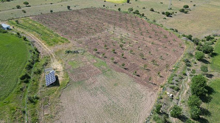 Erzincan'da öğretim üyesi çorak araziyi tarıma kazandırdı! İşte akıllara durgunluk veren yöntem