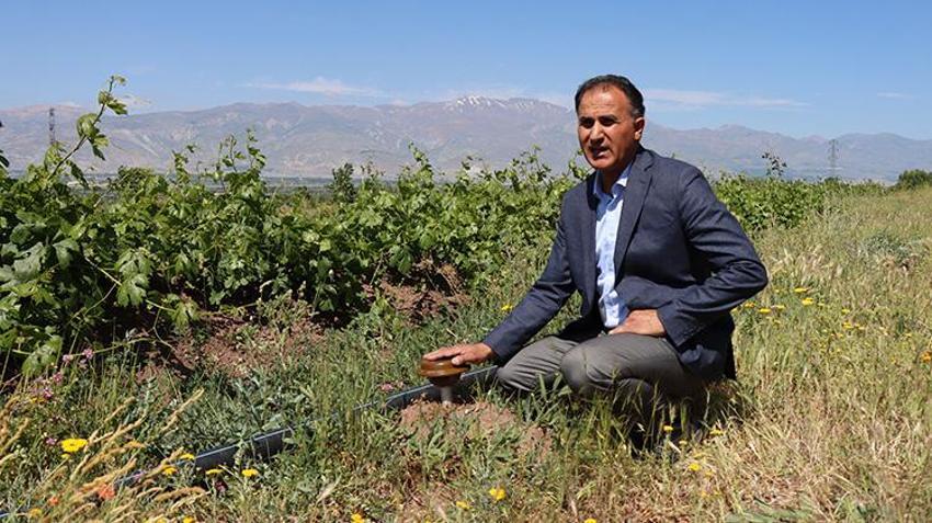 Erzincan'da öğretim üyesi çorak araziyi tarıma kazandırdı! İşte akıllara durgunluk veren yöntem