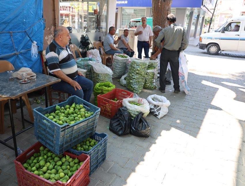 Aydın'da 'ilekleme' sezonu başladı! Şehrin en önemli ürünü, 120 ülkeye ihracı gerçekleşiyor