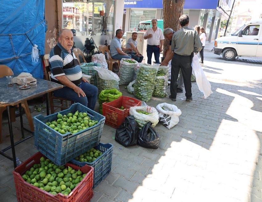 Aydın'da 'ilekleme' sezonu başladı! Şehrin en önemli ürünü, 120 ülkeye ihracı gerçekleşiyor