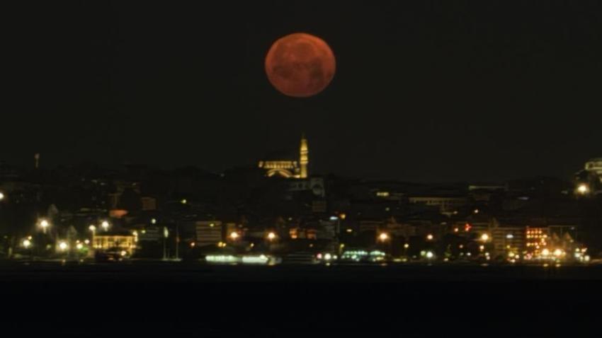 İstanbul'da 18 yıl sonra görüntülendi! Görenleri mest etti