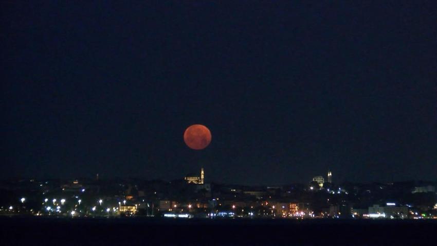 İstanbul'da 18 yıl sonra görüntülendi! Görenleri mest etti