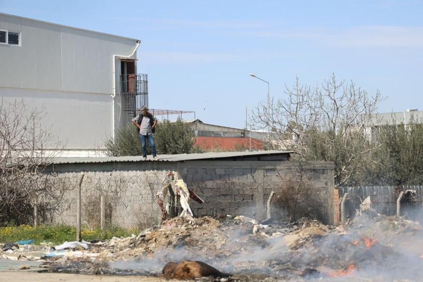 Adana'da büyük tehlike! Tüm kenti sardı, gören ihbar ediyor: Ölüme kadar götürüyor