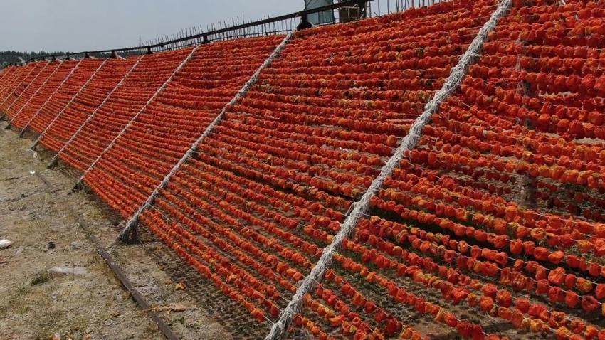 Gaziantep mutfağının vazgeçilmezi, dünyanın tercihi oldu! 15 günde oluyor, 150 liraya kapış kapış gidiyor
