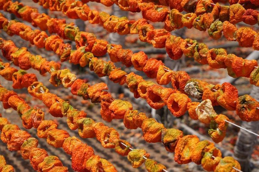 Gaziantep mutfağının vazgeçilmezi, dünyanın tercihi oldu! 15 günde oluyor, 150 liraya kapış kapış gidiyor